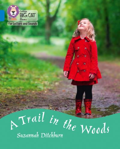 A trail in the woods