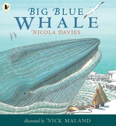 Big blue whale